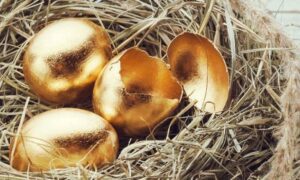 Super Annuation Golden Eggs